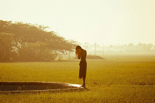 Flat, golden-hued farm fields with trees in the background and someone wearing a lungi and drying his face as he stands at the edge of a small pool in the foreground.