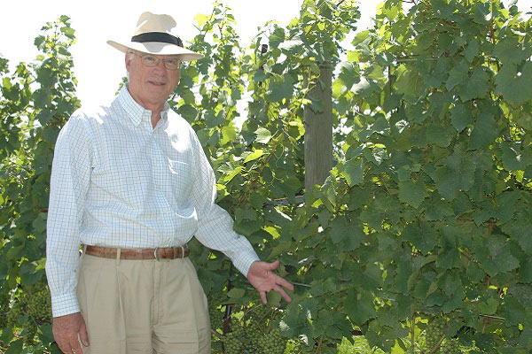 A man in a light beige fedora hat standing in the sun next to grapevines loaded with bunches of grapes.